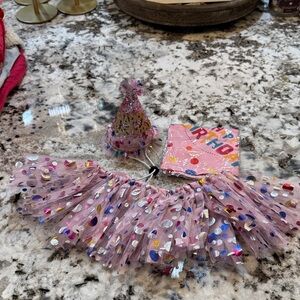 Dog Pink Party Skirt and Hat Set